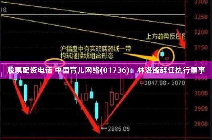 股票配资电话 中国育儿网络(01736)：林洛锋辞任执行董事