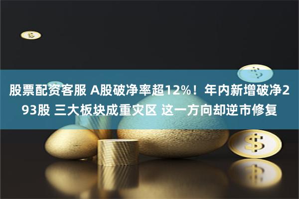 股票配资客服 A股破净率超12%！年内新增破净293股 三大板块成重灾区 这一方向却逆市修复