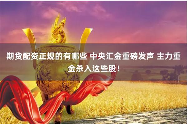 期货配资正规的有哪些 中央汇金重磅发声 主力重金杀入这些股！