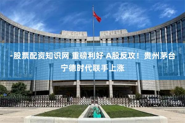 -股票配资知识网 重磅利好 A股反攻！贵州茅台宁德时代联手上涨