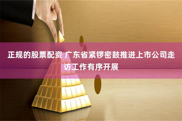 正规的股票配资 广东省紧锣密鼓推进上市公司走访工作有序开展