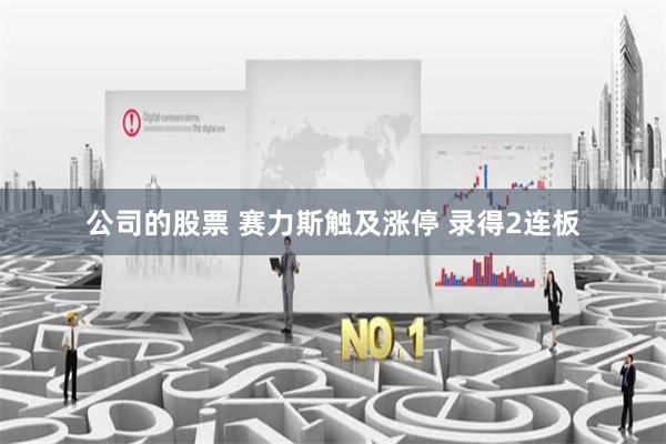 公司的股票 赛力斯触及涨停 录得2连板